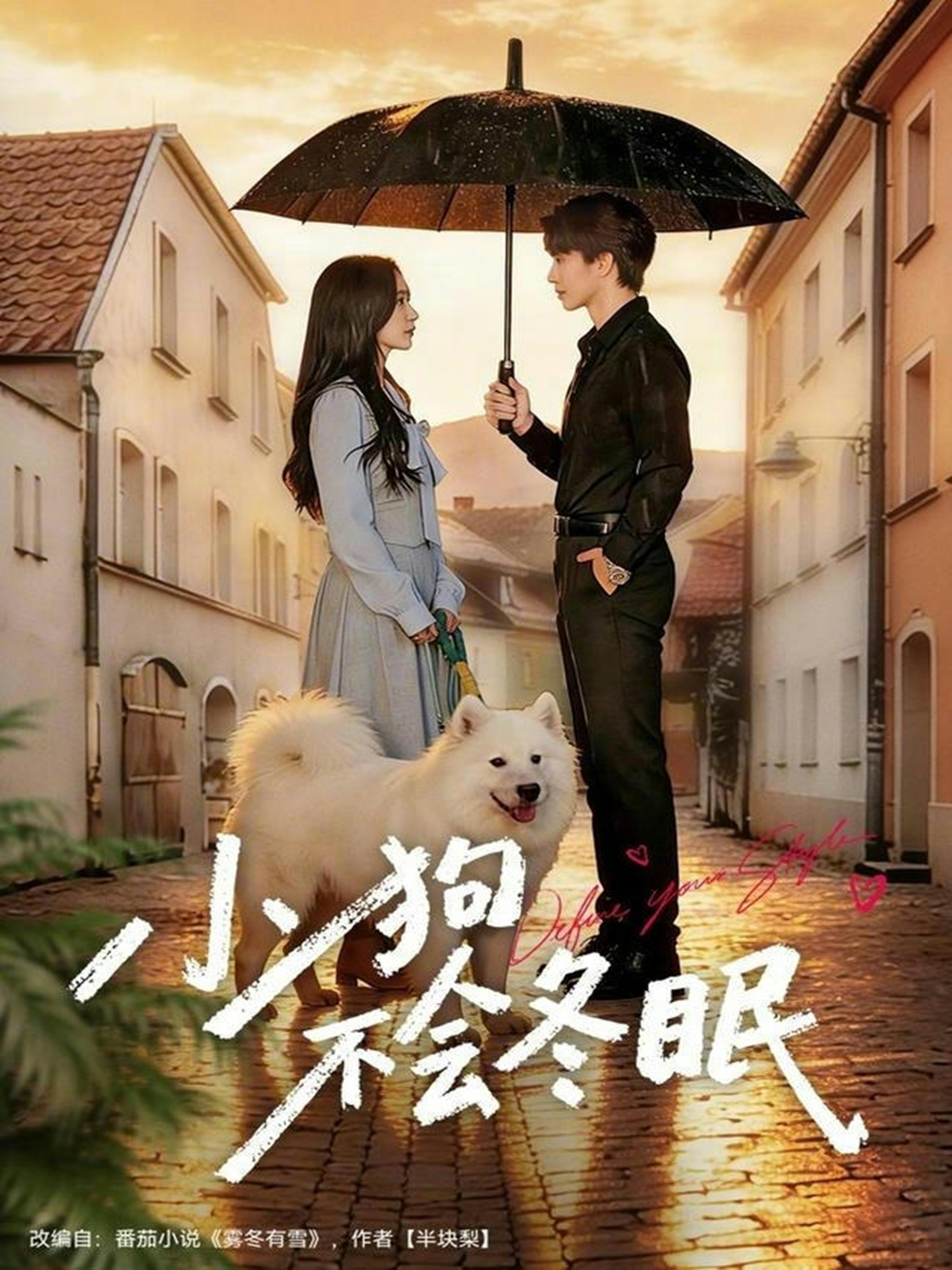 小狗不會冬眠
